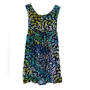 Blue Ginger Size 4T Dress